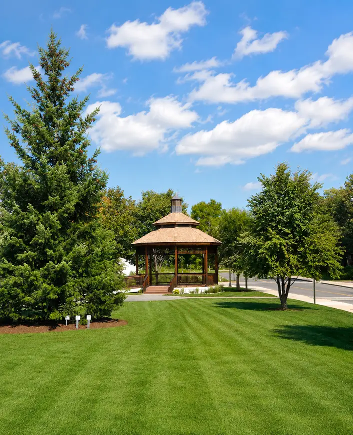 Private Dedham Limo Service for Corporate Guests and Professional Schedules